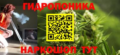 а пвп мука Кингисепп