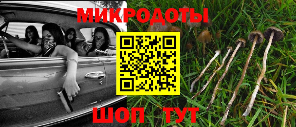 Псилоцибиновые грибы Psilocybine cubensis  Галлюциногенные грибы мицелий  Озёрск  Вход с VPN 